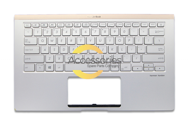 Asus Silver QWERTY American Backlit Keyboard